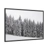 88289-685.jpg Snow Covered Trees in Forest Framed Canvas