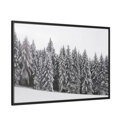 Snow Covered Trees in Forest Framed Canvas