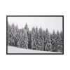 88289-686.jpg Snow Covered Trees in Forest Framed Canvas