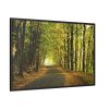 88289-690.jpg Beautiful Autumn forest Framed Canvas