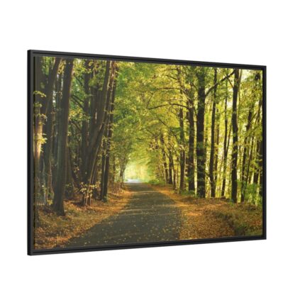 Beautiful Autumn forest Framed Canvas