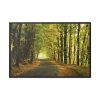 88289-691.jpg Beautiful Autumn forest Framed Canvas