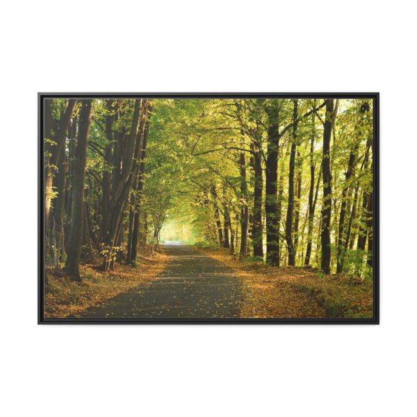 88289-691.jpg Beautiful Autumn forest Framed Canvas