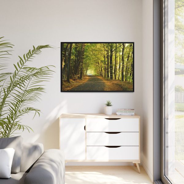 88289-693.jpg Beautiful Autumn forest Framed Canvas