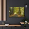88289-694.jpg Beautiful Autumn forest Framed Canvas