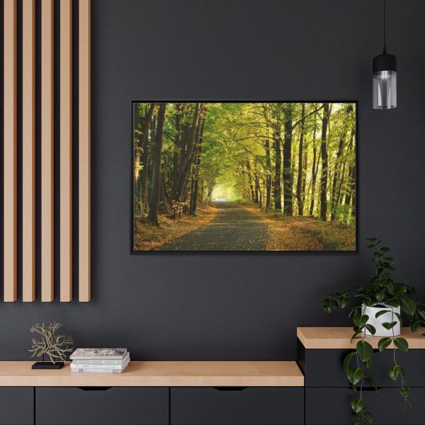88289-694.jpg Beautiful Autumn forest Framed Canvas