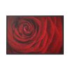 Red Rose  Framed Canvas