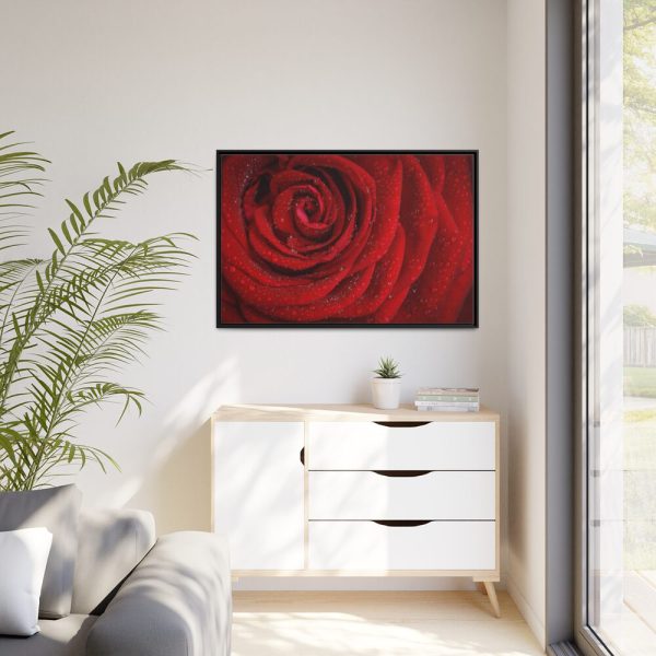 Red Rose  Framed Canvas