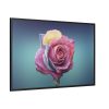 88289-92.jpg Multicolorful Rose Framed Canvas