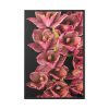 88299-100.jpg Catasetum Orchidglade Framed Canvas