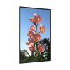 88299-104.jpg Pink Orchid Flowers Framed Canvas