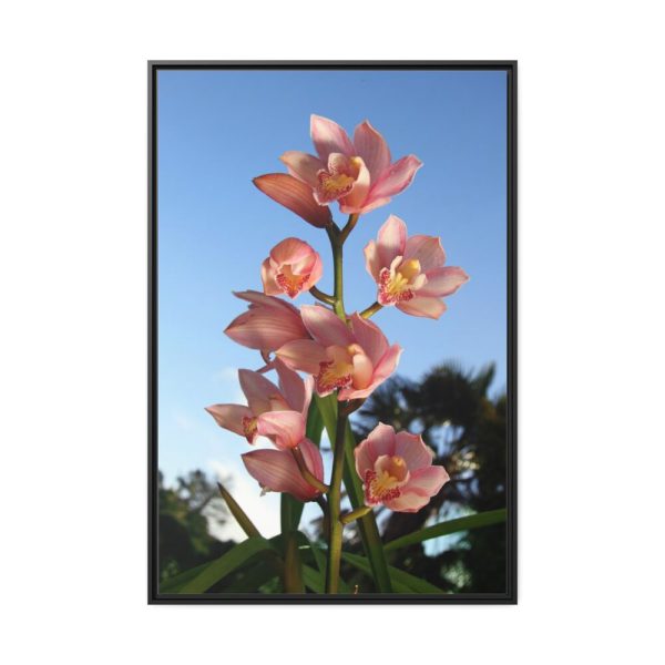 88299-105.jpg Pink Orchid Flowers Framed Canvas