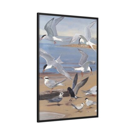 Panel 8 by Louis Agassiz Fuertes Framed Canvas