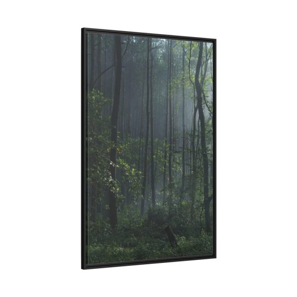88299-114.jpg A Small Clearing in a Lush Forest Framed Canvas