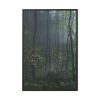 88299-115.jpg A Small Clearing in a Lush Forest Framed Canvas