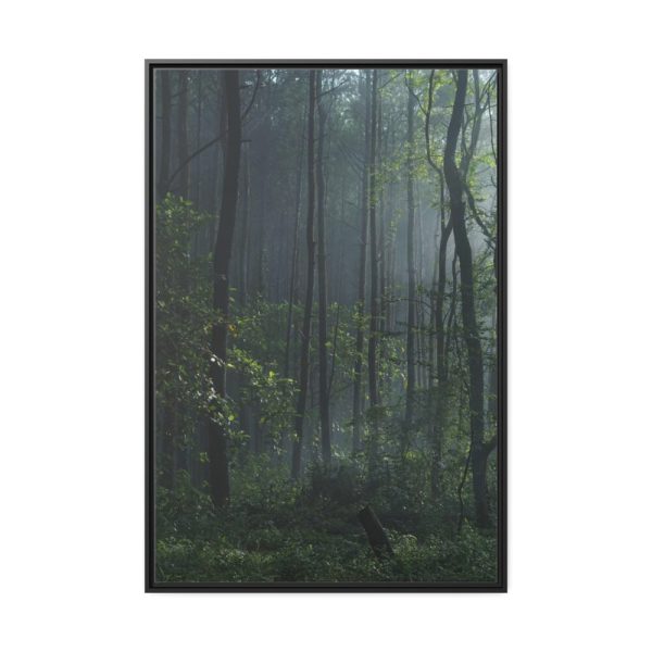 88299-115.jpg A Small Clearing in a Lush Forest Framed Canvas