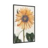 Sunflower  by Johan Teyler Framed Canvas