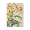 88299-25.jpg Sunflowers by Hannah Borger Overbeck Framed Canvas