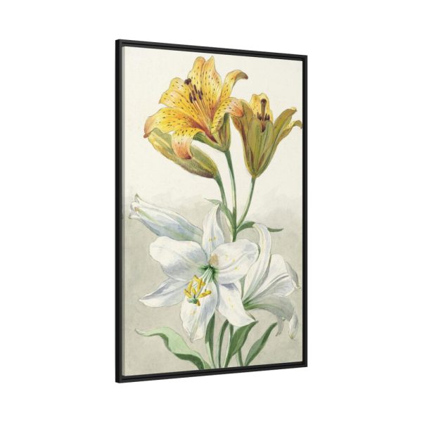 88299-40.jpg Yellow and White Lilies by William van Leen Framed Canvas