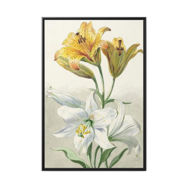 88299-41.jpg Yellow and White Lilies by William van Leen Framed Canvas