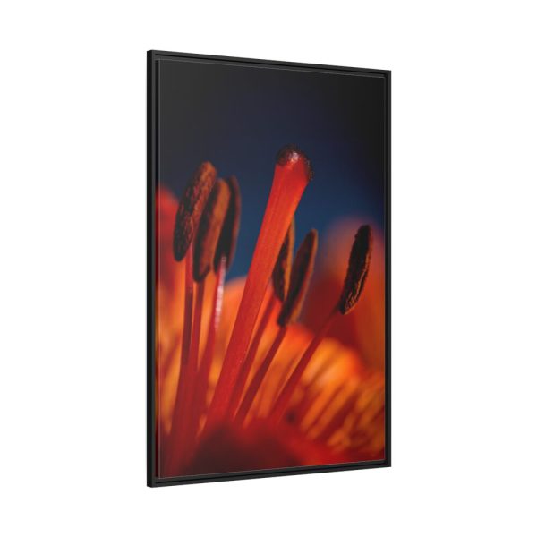 Flower pollen Framed Canvas
