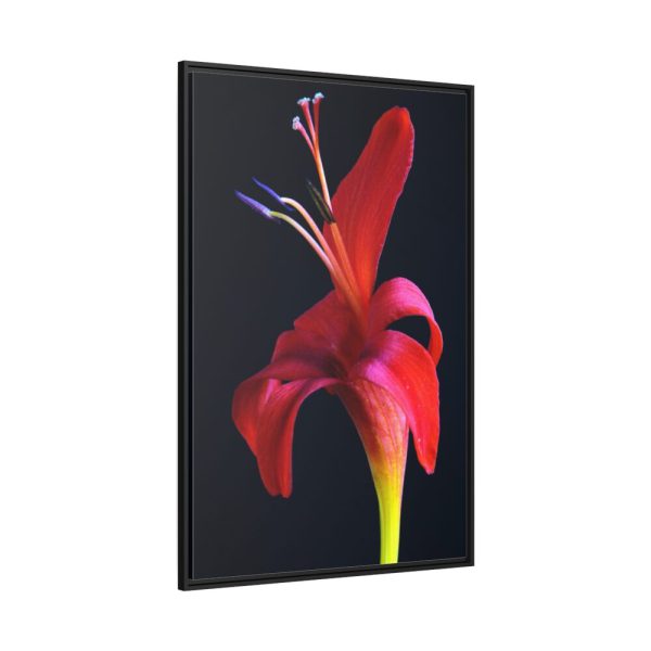 88299-48.jpg Red Flower Framed Canvas