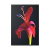 88299-49.jpg Red Flower Framed Canvas