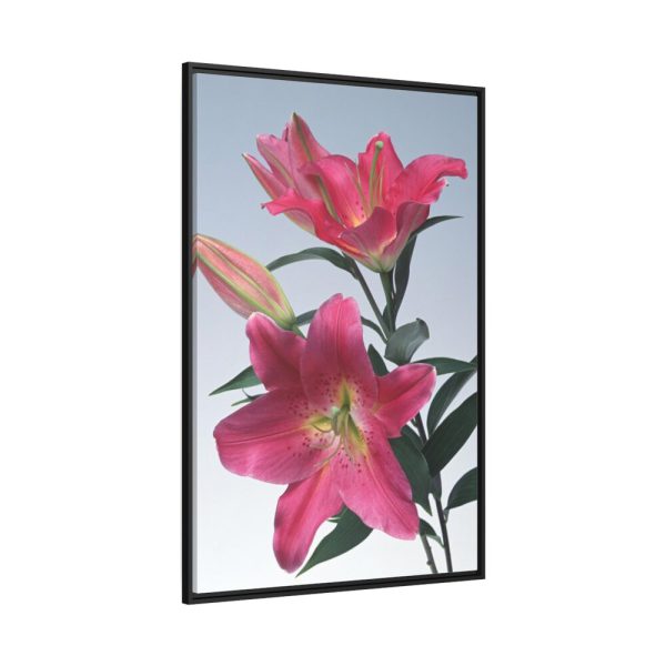 88299-52.jpg Pink Tiger Lily Framed Canvas