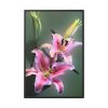 Beautiful Lily Framed Canvas