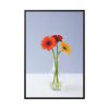 88299-65.jpg Three Daisies Framed Canvas