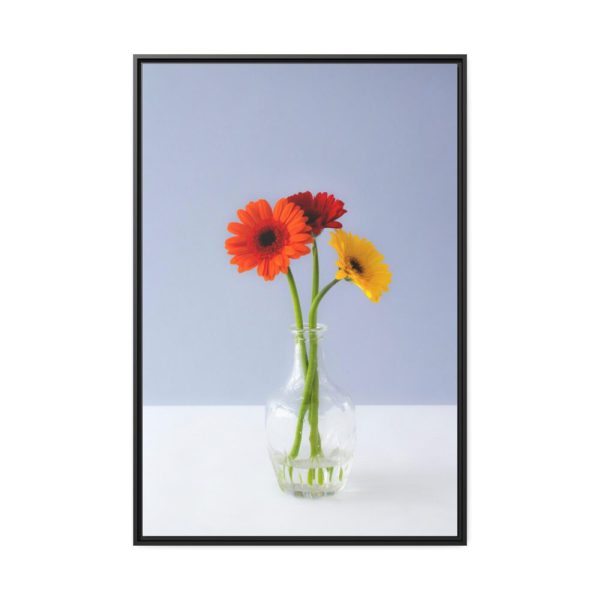 88299-65.jpg Three Daisies Framed Canvas