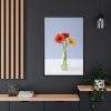 88299-68.jpg Three Daisies Framed Canvas