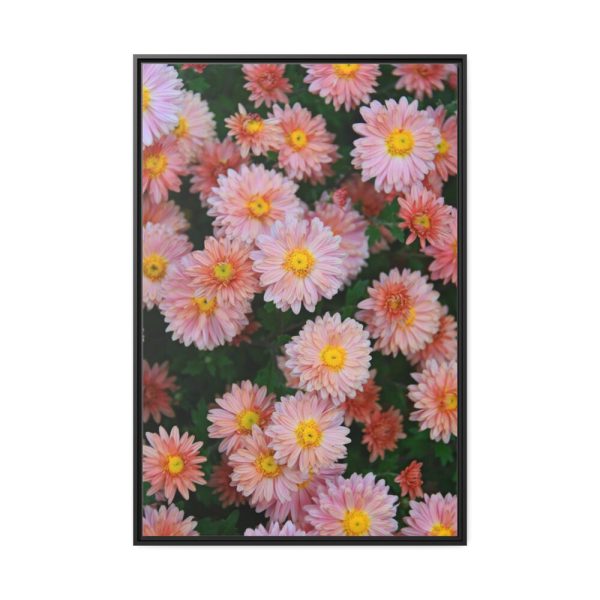 88299-70.jpg Beautiful Pink Flowers Framed Canvas