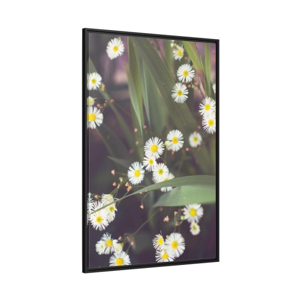 88299-74.jpg Tiny White Daisy Flowers Framed Canvas