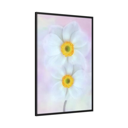 Two White Beautiful Flowers Framed Canvas