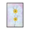 88299-80.jpg Two White Beautiful Flowers Framed Canvas