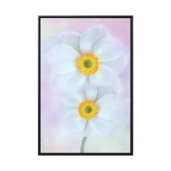 88299-80.jpg Two White Beautiful Flowers Framed Canvas