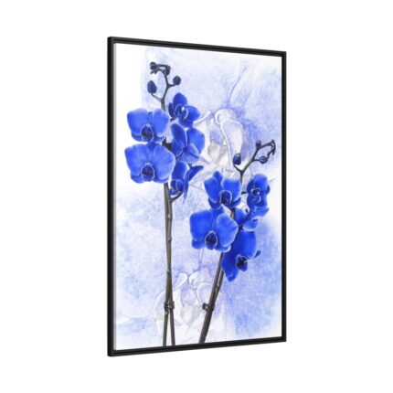 Phalaenopsis Orchid Flower Framed Canvas