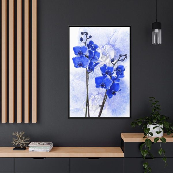 Phalaenopsis Orchid Flower Framed Canvas