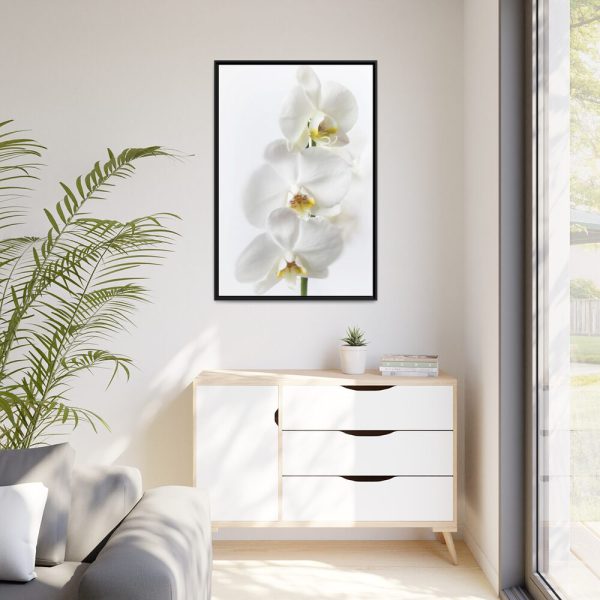 White Orchid Framed Canvas