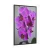 Purple Orchid Framed Canvas