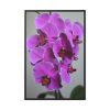 Purple Orchid Framed Canvas