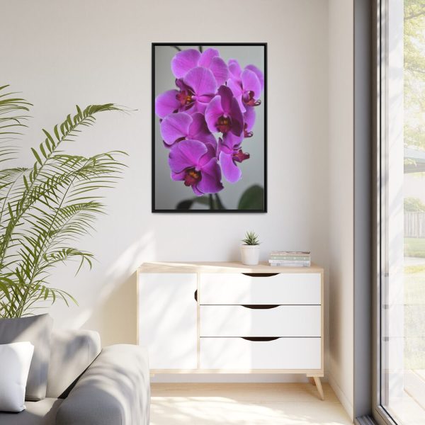 Purple Orchid Framed Canvas