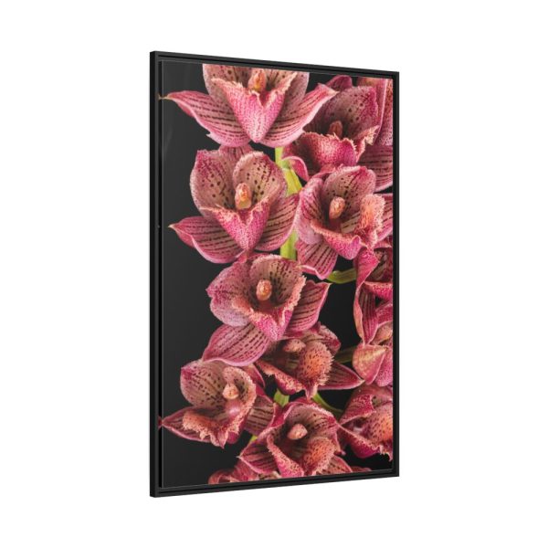 88299-99.jpg Catasetum Orchidglade Framed Canvas