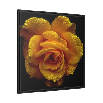 Drop of Water Framed Canvas
