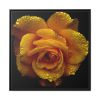 88302-25.jpg Drop of Water Framed Canvas