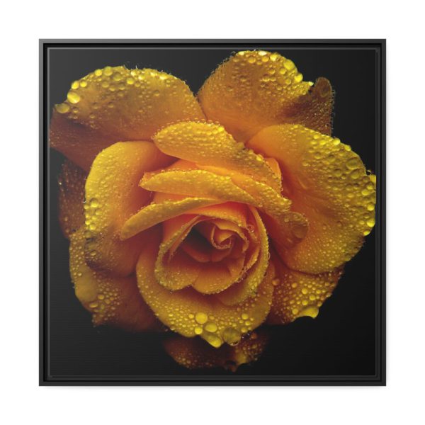 88302-25.jpg Drop of Water Framed Canvas