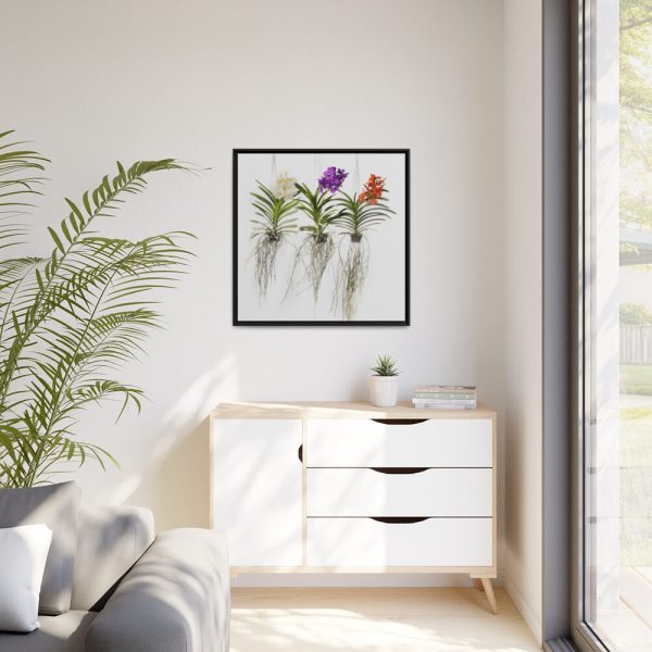 Three Orchids Framed Canvas