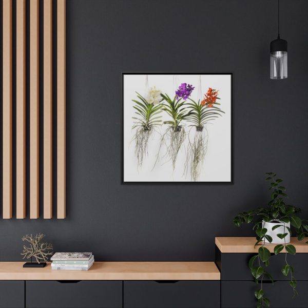 Three Orchids Framed Canvas