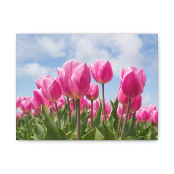 Tulip Beauty Standard Canvas